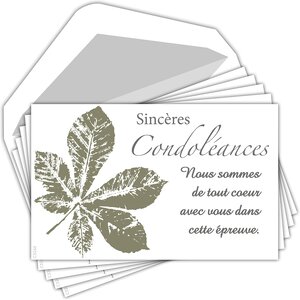 Lot 5 cartes remerciements condoléances +5 enveloppes blanches format 9x14cm