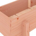 vidaXL Lit surélevé de jardin 160x30x38 cm bois douglas massif