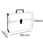 Trieur valisette + poignée 20comp. noir EXACOMPTA