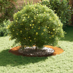 vidaXL adapté pour anneaux d'arbre plats 5 Pièces Marron Ø60 / 90 cm