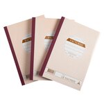Lot De 3 Manifolds Factures - Papier Autocopiant - Triplicata (1 Original Et 2 Copies) - 50 Feuilles - Format 21 X 14 8 Cm - Couverture Vernie - Avoine - X 14 - Le Dauphin