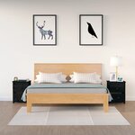 vidaXL Tables de chevet 2 Pièces Noir 50x35x61 5 cm Bois de pin massif