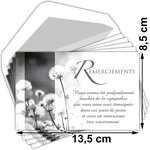 Lot 5 cartes remerciements condoléances +5 enveloppes blanches format 9x14cm