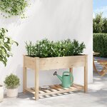 Jardinière vidaXL avec étagère 115x59x76 cm en bois massif de sapin