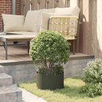 vidaXL Pots de jardin 5 Pièces Vert olive 30 x 30 x 20 cm Acier