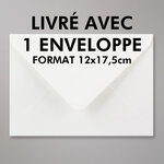 61-5842 Carte Joyeux Noël avec enveloppe blanche 12x17 5cm