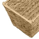 vidaXL Jardinières 2 Pièces Jacinthe d'eau