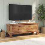 vidaXL Meuble TV Naturel 110 x 35 x 40 cm Bois de teck massif