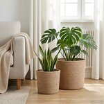 vidaXL Ensemble de Pots à Plantes 2 Pièces Naturel Ø 28 x 28 cm
