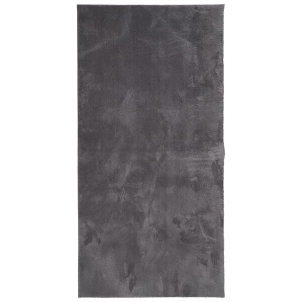 vidaXL Tapis HUARTE à poils courts doux lavable anthracite 100x200 cm
