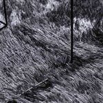 vidaXL Tapis Shaggy à poils longs NAVARRA gris foncé 300x200 cm