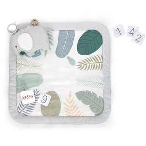 Tapis d'éveil évolutif Sprout Spot  12 cartes évolutives et 5 jouets détachables