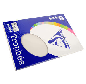 Ramette 50 Feuilles Papier 160g A4 210x297 mm gris perle TROPHÉE