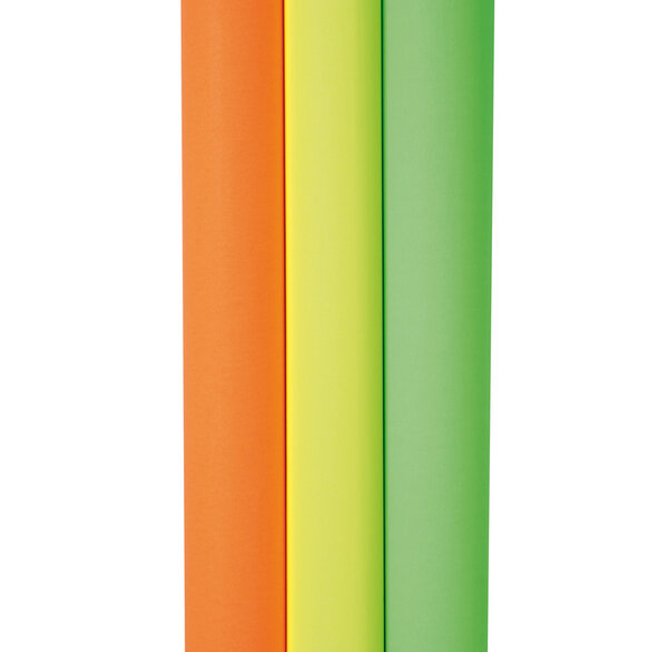 Rouleau 10 Feuilles 80g Affiche fluo 60x80 cm assortis CLAIREFONTAINE