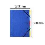 Trieur Harmonik Véritable carte lustrée 5 compartiments - Coloris Aléatoire x 8 EXACOMPTA