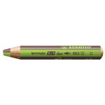 Crayon multi-talents woody 3 in 1 duo - vert clair-marron STABILO