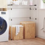 vidaXL Paniers à linge 2 Pièces hyacinthe d'eau