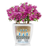LECHUZA Jardinière CLASSICO Color 18 ALL-IN-ONE Blanc
