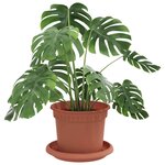 vidaXL Pots de plantes 6 Pièces Rouge brique Ø 12 5 x 10 cm Plastique