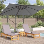 vidaXL Parasol Roma à Bras Déporté Anthracite  Noir 352 x 251 x 260 cm