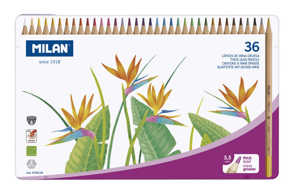 Crayons de couleur mine épaisse Ø 3 5 mm hexagonaux Boite métallique 36 pièces