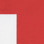 vidaXL Mur de tente de fête 2 pièces 300 x 195 cm Rouge PE et acier