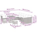 vidaXL Ensemble de canapé de jardin 13 Pièces Noir polyrotin