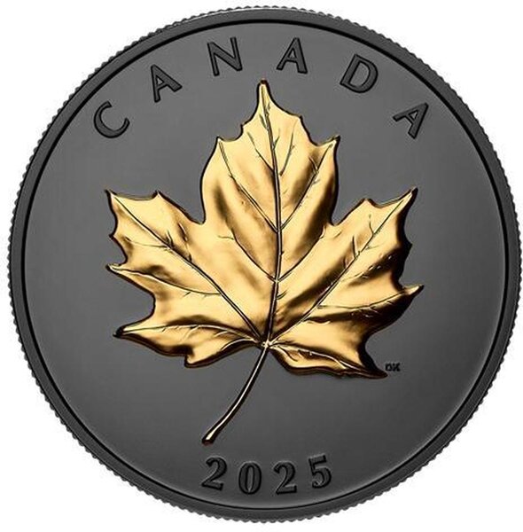 Pièce de monnaie en Argent 20 Dollars g 31.39 Millésime 2025 ELEGANT MAPLE