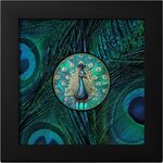 Pièce de monnaie en Argent 5 Dollars g 31.1 (1 oz) Millésime 2025 Spectrum PEACOCK