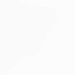 vidaXL Chaises à manger 2 Pièces blanc bois massif caoutchouc