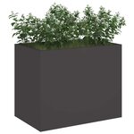 vidaXL Cache-pot de jardin Noir 50 x 32 x 40 cm Acier laminé à froid