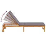 vidaXL Transat 1-personne Marron 53 x 202 x 89cm Bois d'acacia massif