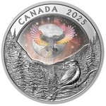 Pièce de monnaie en Argent 20 Dollars g 31.39 Millésime 2025 RAVEN