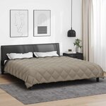 vidaXL Duvet d'hiver Gris clair et anthracite 200 x 200 cm Microfibre