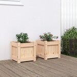 vidaXL Jardinières 2 Pièces bois de pin massif