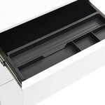 vidaXL Classeur mobile Blanc 39x45x60 cm Acier