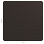 vidaXL Tapis de tente 200x200 cm Marron