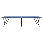 vidaXL Lit de camping pliant Bleu 206 x 76 x 74 cm Tissu Oxford