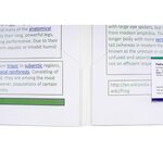 Sachet De 10 Chemises Double Poche Polypropylène Souple 2/10e - A4 Ou A3 - Cristal - X 2 - Exacompta