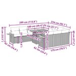 vidaXL Salon de jardin 11Pièces avec coussins beige résine tressée acacia
