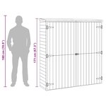vidaXL Abri à outils de jardin 163x50x171 cm Bois de pin solide