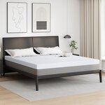 vidaXL Coussins de Matelas Blanc 200 x 200 cm