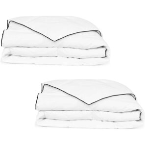 vidaXL Couette en duvet d'hiver 2 Pièces 140 x 200 cm