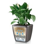 LECHUZA Jardinière QUADRO LS 28 ALL-IN-ONE charbon 16143