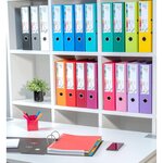 EXACOMPTA - Classeur a levier extra large - Dos 80mm -24,2 x 29,7 - Rembordé polypropylene - Bleu clair