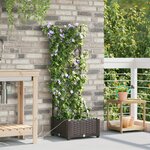 Jardinières vidaXL avec système d'irrigation Brown