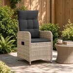 vidaXL Chaise de jardin inclinable Gris clair et gris foncé
