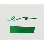 Boîte de 6 cartouches d'encre standard Lierre sauvage HERBIN