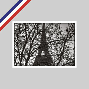 Carte peter turnley - la tour eiffel  paris  2021