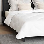 vidaXL Couette Autre avec oreiller 3 Pièces Blanc 240 x 200 cm Microfibre